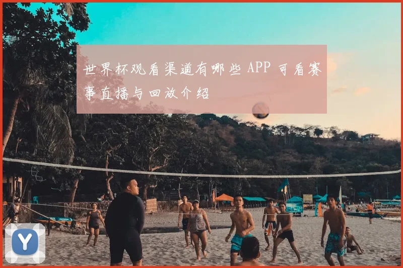 世界杯观看渠道有哪些 APP 可看赛事直播与回放介绍