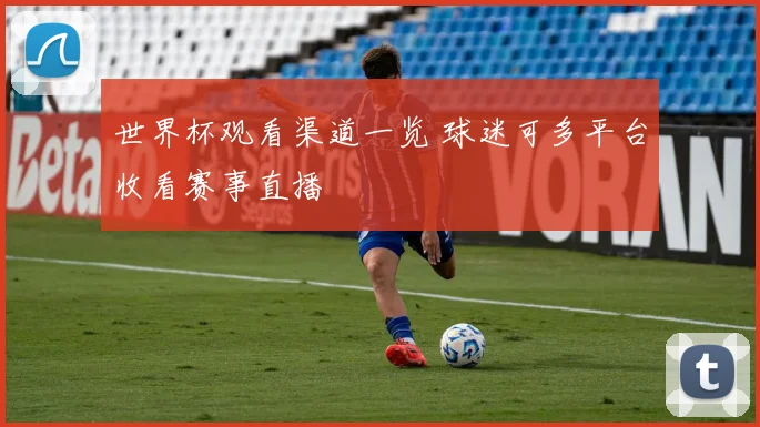 世界杯观看渠道一览 球迷可多平台收看赛事直播