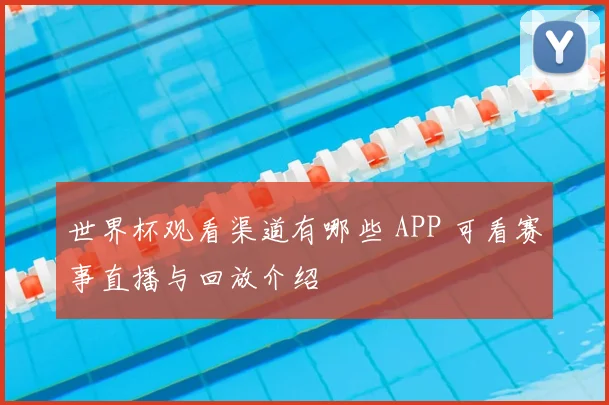 世界杯观看渠道有哪些 APP 可看赛事直播与回放介绍