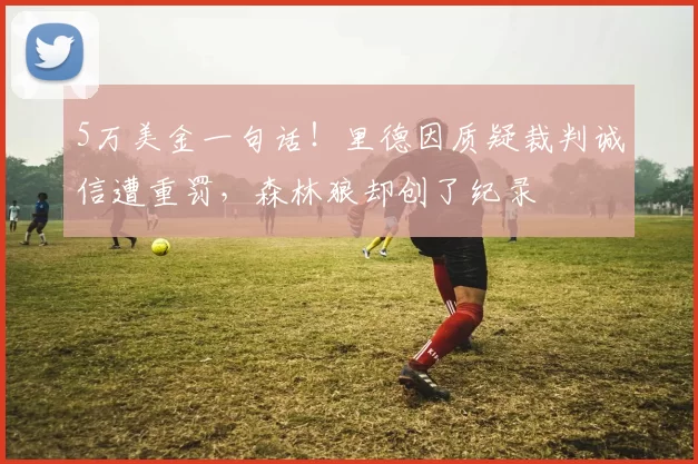 5万美金一句话！里德因质疑裁判诚信遭重罚，森林狼却创了纪录