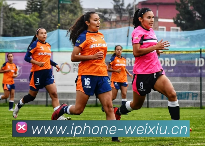 Kaiyun (中国官方网站) - 官方认证的服务平台服务体系